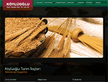 Tablet Screenshot of koyluoglutarim.com